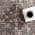 Dark Brown color or pattern variation