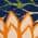 Multicolor color or pattern variation