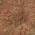 Terracotta color or pattern variation