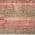 Coral color or pattern variation