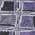 Purple color or pattern variation