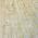 Beige color or pattern variation