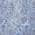 Blue color or pattern variation