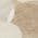 Ivory color or pattern variation