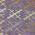 Plum color or pattern variation
