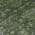 Olive color or pattern variation