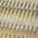 Gold color or pattern variation