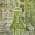 Green color or pattern variation