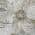 Taupe color or pattern variation