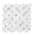 White color or pattern variation