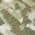 Olive color or pattern variation
