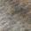 Brown color or pattern variation