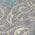 Gray color or pattern variation