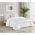 Ombre White