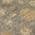 Taupe color or pattern variation