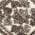 Charcoal color or pattern variation