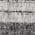Gray/Black color or pattern variation