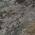 Pewter color or pattern variation