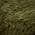 Olive Green color or pattern variation