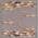 Gray color or pattern variation