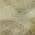 Beige color or pattern variation