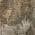 Taupe color or pattern variation