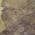 Mocha color or pattern variation