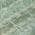 Fern color or pattern variation