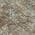 Brown color or pattern variation