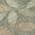 Green color or pattern variation