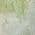 Green color or pattern variation