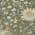Olive color or pattern variation