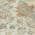 Cream color or pattern variation
