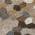 Brown color or pattern variation