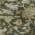 Olive color or pattern variation