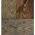 Dark Walnut/Aged Barrel