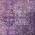 Eggplant color or pattern variation