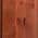 Red Chestnut Stain color or pattern variation