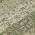 Olive color or pattern variation