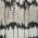 Black color or pattern variation