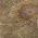 Brown color or pattern variation