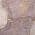 Plum color or pattern variation