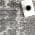 Grey color or pattern variation