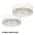 All White color or pattern variation
