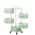 Green color or pattern variation