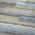 Gray color or pattern variation
