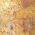Rustic Gold
