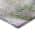 Purple  color or pattern variation