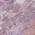 Plum color or pattern variation