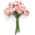 Pink color or pattern variation